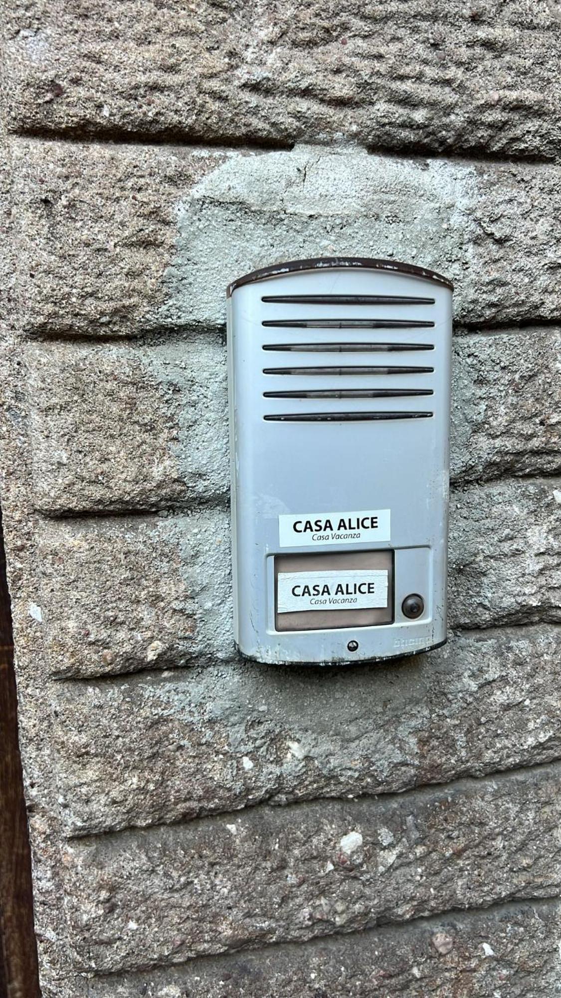 Apartament Casa Alice Lucca Centro Zewnętrze zdjęcie